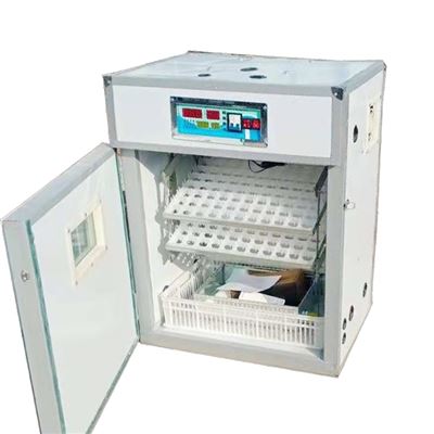 Mini Egg Incubator