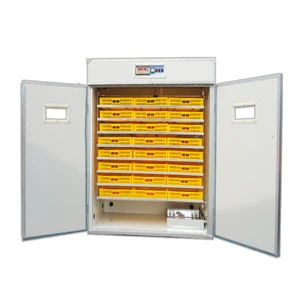 You Need A Setter Incubator For Your Farm