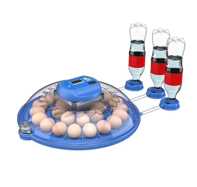 Mini Incubator For Home Use
