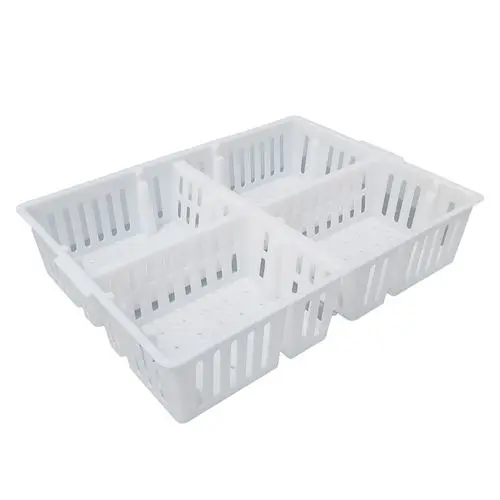 Benefits Of Using Chick Transfer Boxes