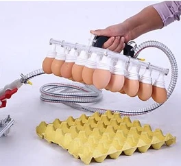 What Is A Vacuum Egg Pump?