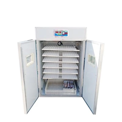 The Difference Between Conventional Incubation And Incubator Incubation
