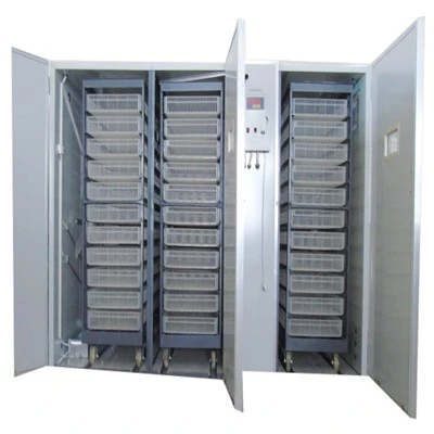 12672 Chicken Setter Hatcher