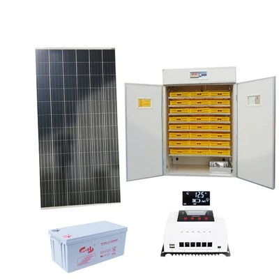 2112 Solar Egg Incubator and Hatcher
