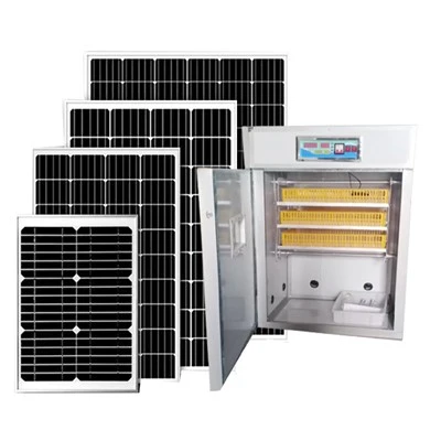 264 Solar Egg Incubator and Hatcher