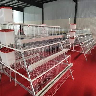 3 Levels 4 Door Chicken Layer Cage
