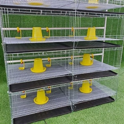 4 Levels 2 Doors Chicken Broiler Cage