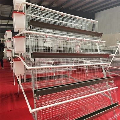4 Levels 4 Door Chicken Layer Cage