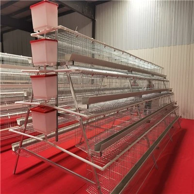 4 Levels 5 Door Chicken Layer Cage